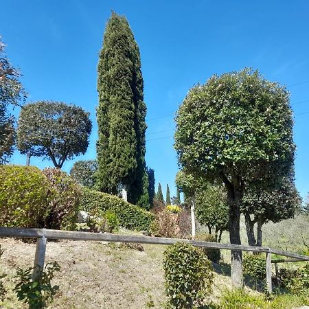Villetta Dei Lecci Castelfiorentino Εξωτερικό φωτογραφία